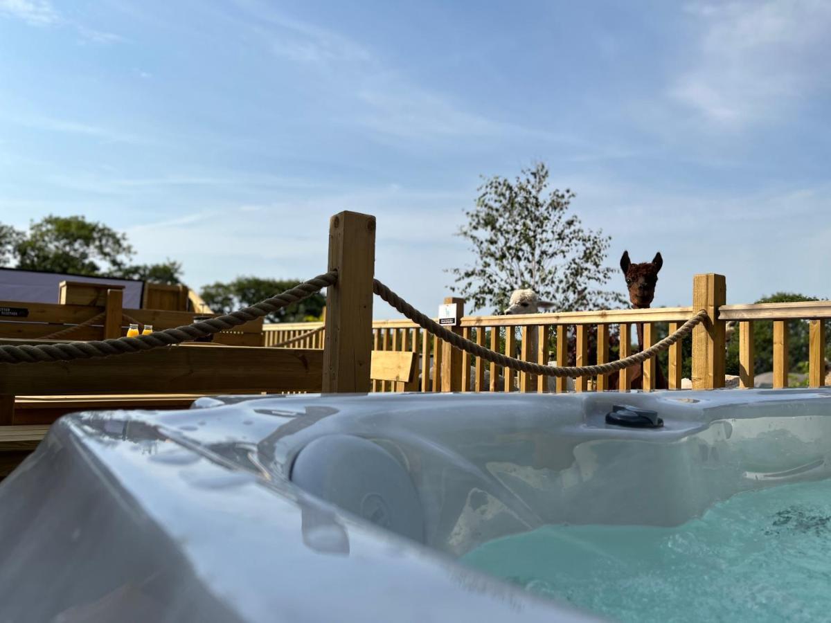 Jungle Book Safari Tent Tenby Eksteriør billede